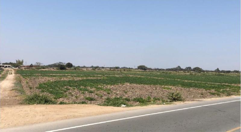 VENTA DE AMPLIO TERRENO EN LAMBAYEQUE